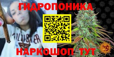 дмт Волжский