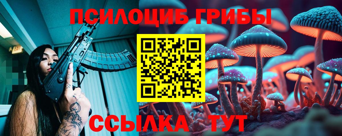 Галлюциногенные грибы Psilocybine cubensis Тюмень
